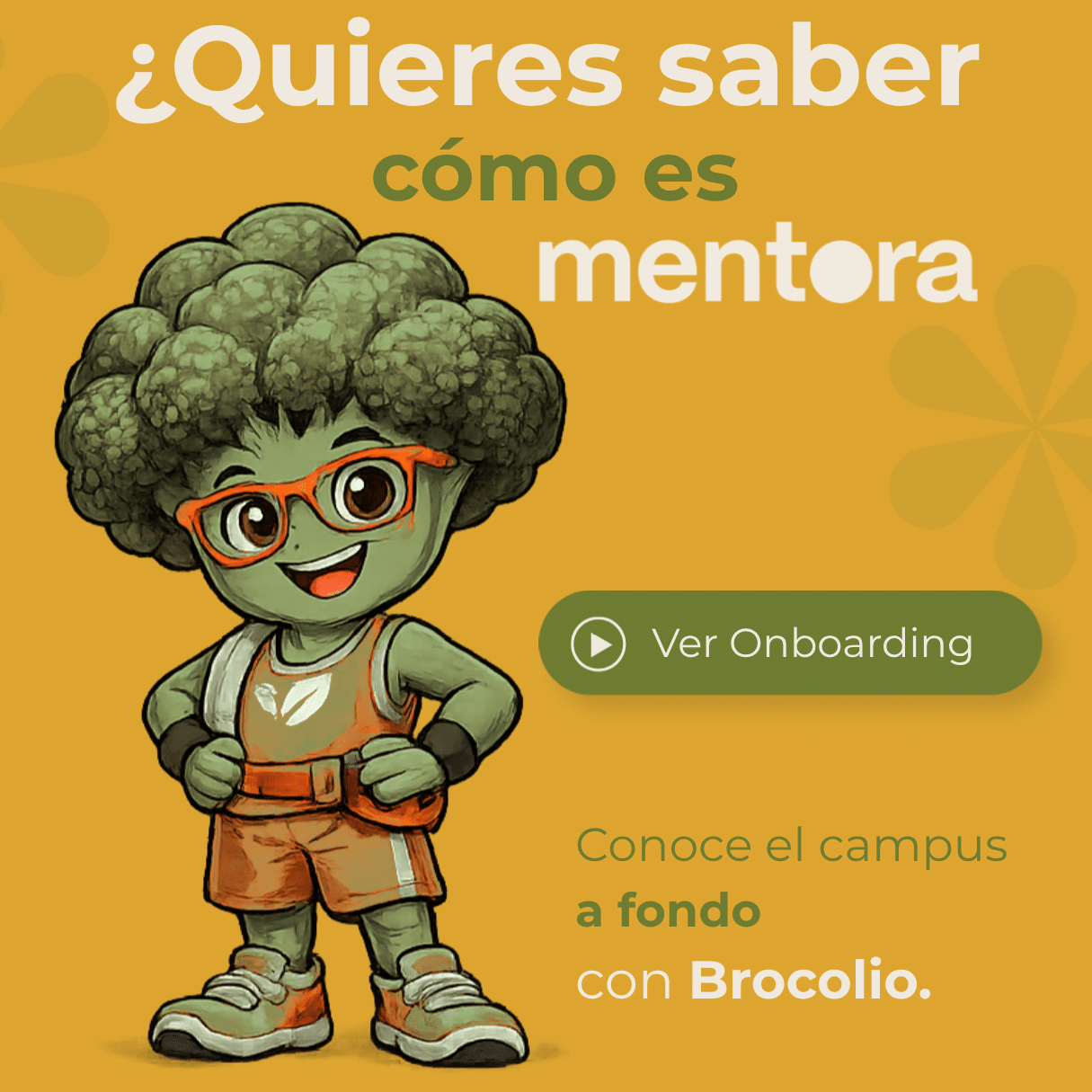 Mentora Brocolio